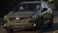 dogs driving a car