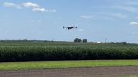 a drone flying over a field of soybeans