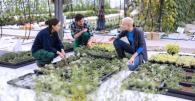 Three people talking while crouched by a patch of seedlings.