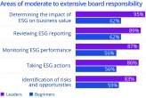 Chart: Areas of moderate to extensive board responsibility
