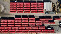 bird's eye view of electric buses