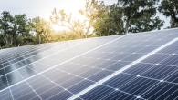 Solar panels in front of trees and a sunset