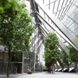 Trees growing inside a building with angular beams.