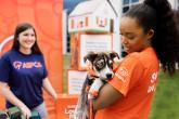 person holding a puppy