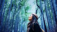 woman in a beret in a forest