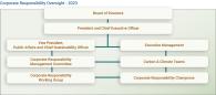 Infographic of Corporate Responsibility Oversight