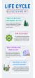 Info graphic "Life Cycle Assessment" Topic of What is life Cycle Assessment, How is LCA used, What criteria are used, How does LCA help.