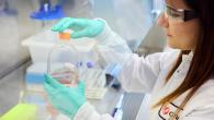 scientist working in a wet lab