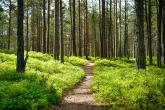 Cascale and Worldly release the  “Navigating Forest, Land, and Agriculture (FLAG) Emissions report
