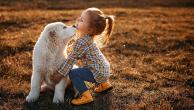 small child with dog