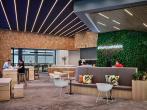 An open space with chairs, benches, carpeted floors, a wall of greenery.