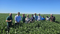 A group of people in a field