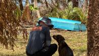 person helping a dog