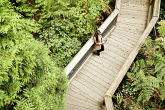 someone standing on a boardwalk surrounded by greenery