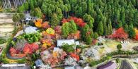 birds eye view of garden