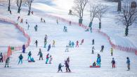 People skiing down a slope