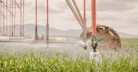 Sprinkler system over grass