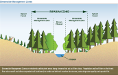 Info graphic "Riverside Management Zone" showing a cross-section of a digital forest and waterway with different zones labeled.
