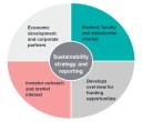 Info graphic pie chart "Sustainability strategy and reporting" four topics surrounding.