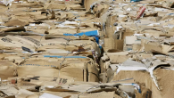 cardboard waste