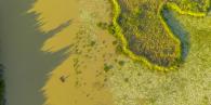 Aerial view of a person in a small boat on a mucky waterway.
