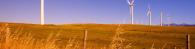 Wind turbines in a field
