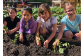 children working on a garden