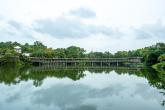 Mandai Wildlife Center