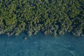 Pate Island. Credit: Roshni Lodhia
