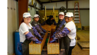 Group working together