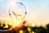 Visualization of lightbulb with plant growing in the middle