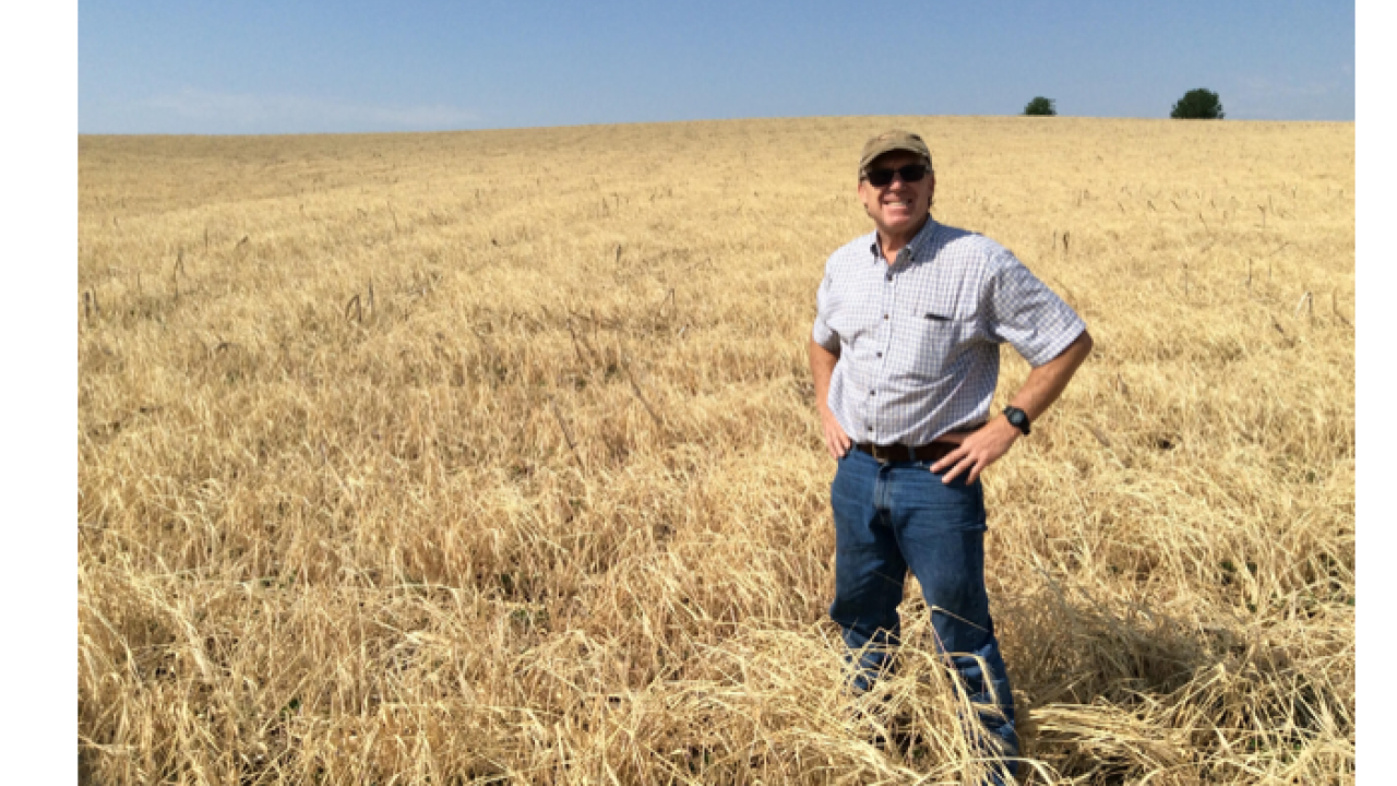 Dan Gillespie in a Field