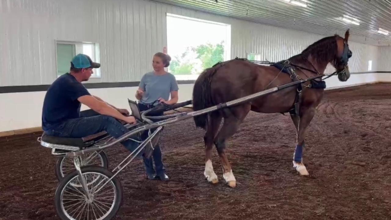 Man riding behind a horse
