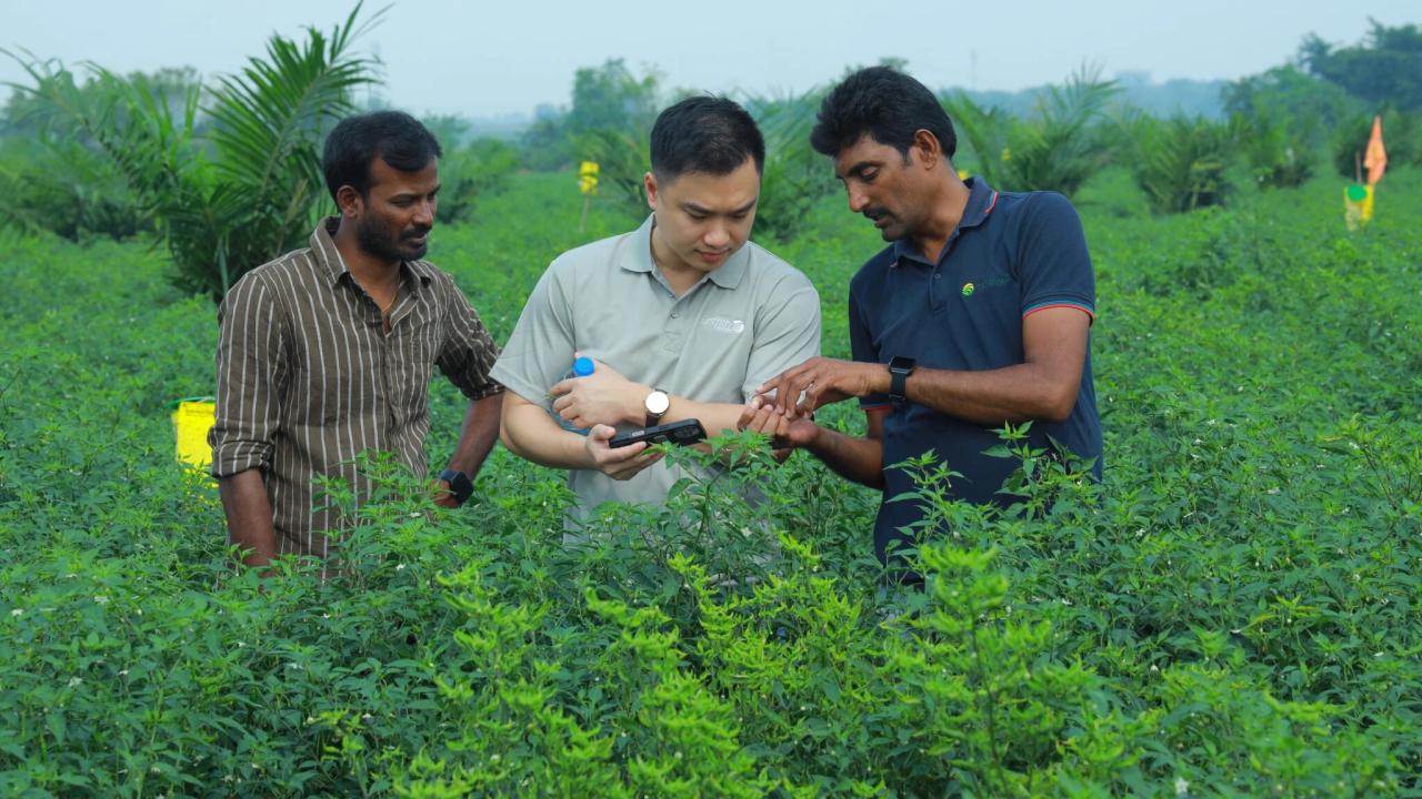 people standing in a field together