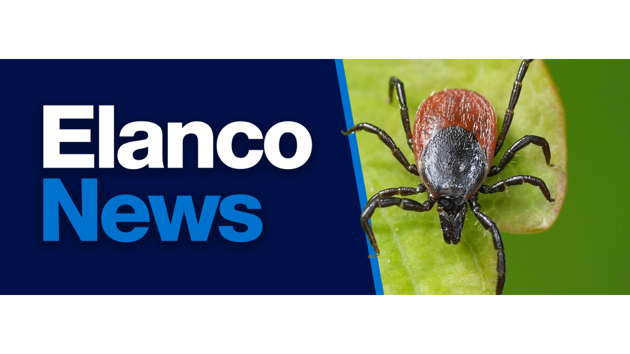 "Elanco News" with image of a tick