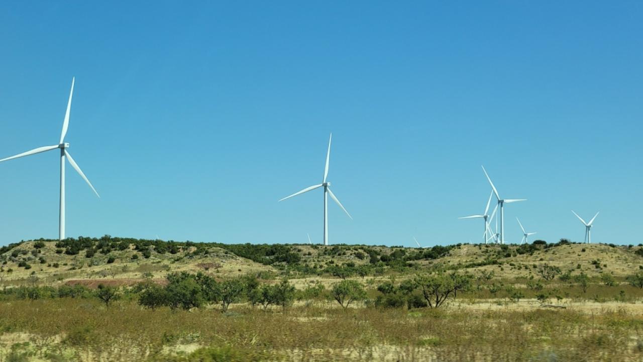 windmills in a field