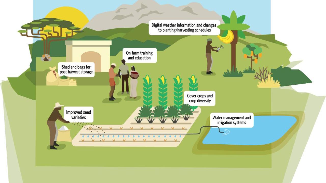 Conceptual diagram of on-farm adaptation strategies. Source: TNC 
