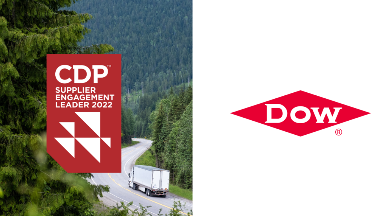 CDP red and white graphic on top of an image of a road winding through a forest and next to a white box with the Dow logo