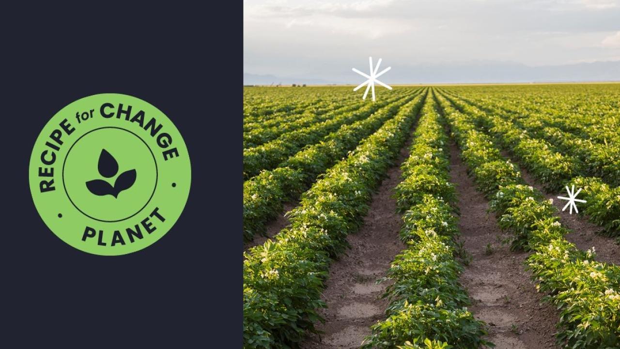 Albertsons' Recipe for Change Planet logo next to a picture of rows of crops.
