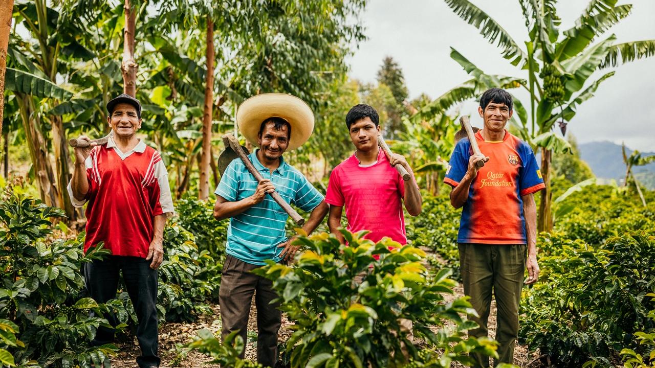 farmers