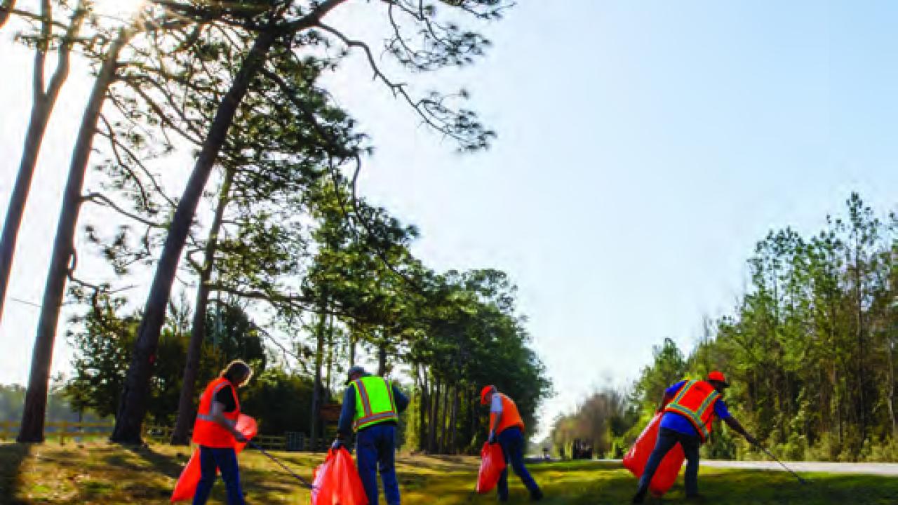 People cleaning up a grassy area