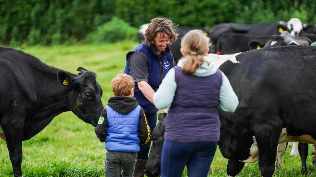 people with cows