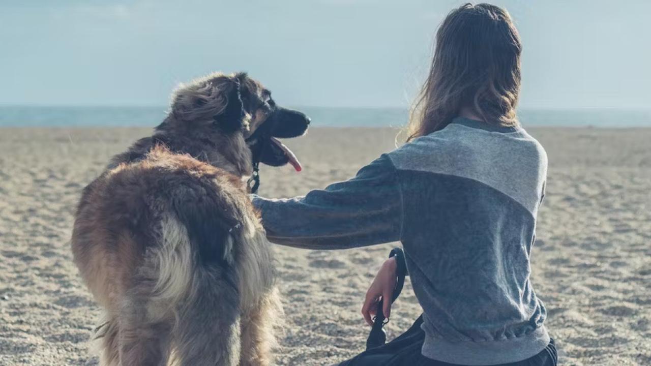 Person with dog on a beach
