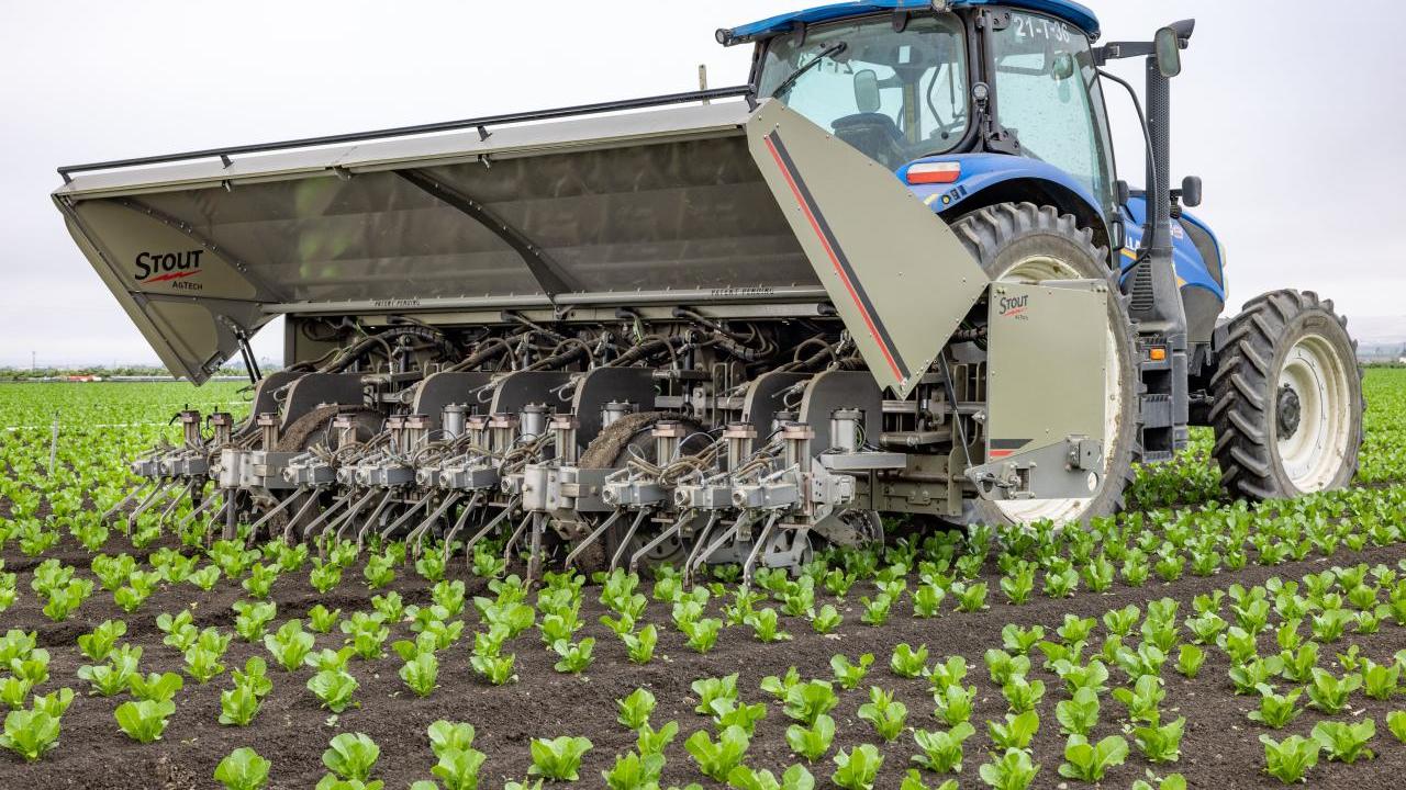 A tractor in a crop field