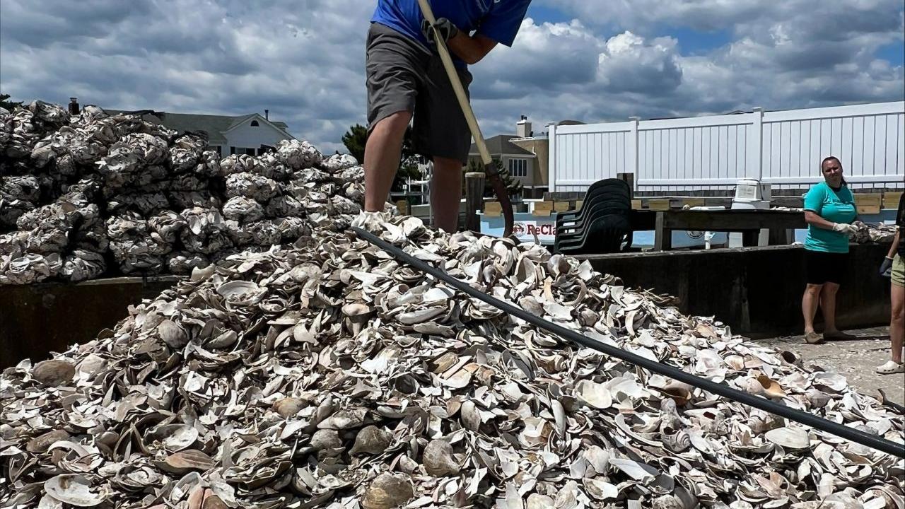 A person stood on top of a pile of shells