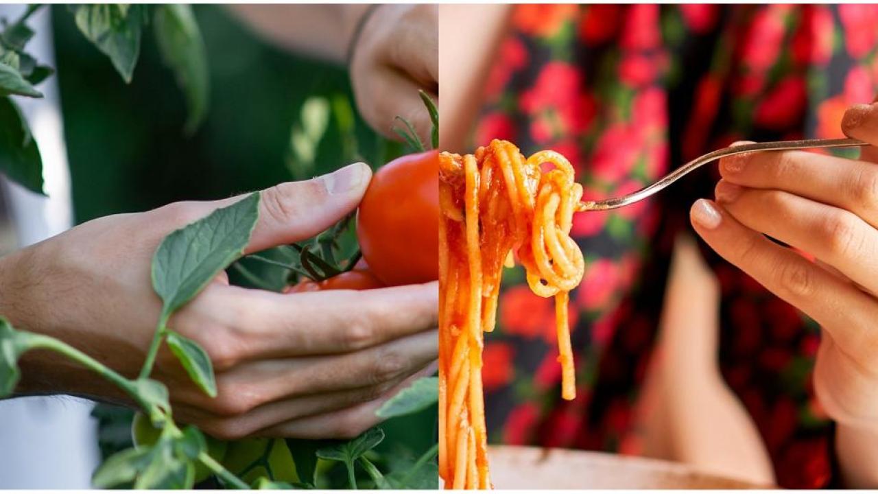 collage: a hand holding a tomato, a hand holding a forkful of spaghetti
