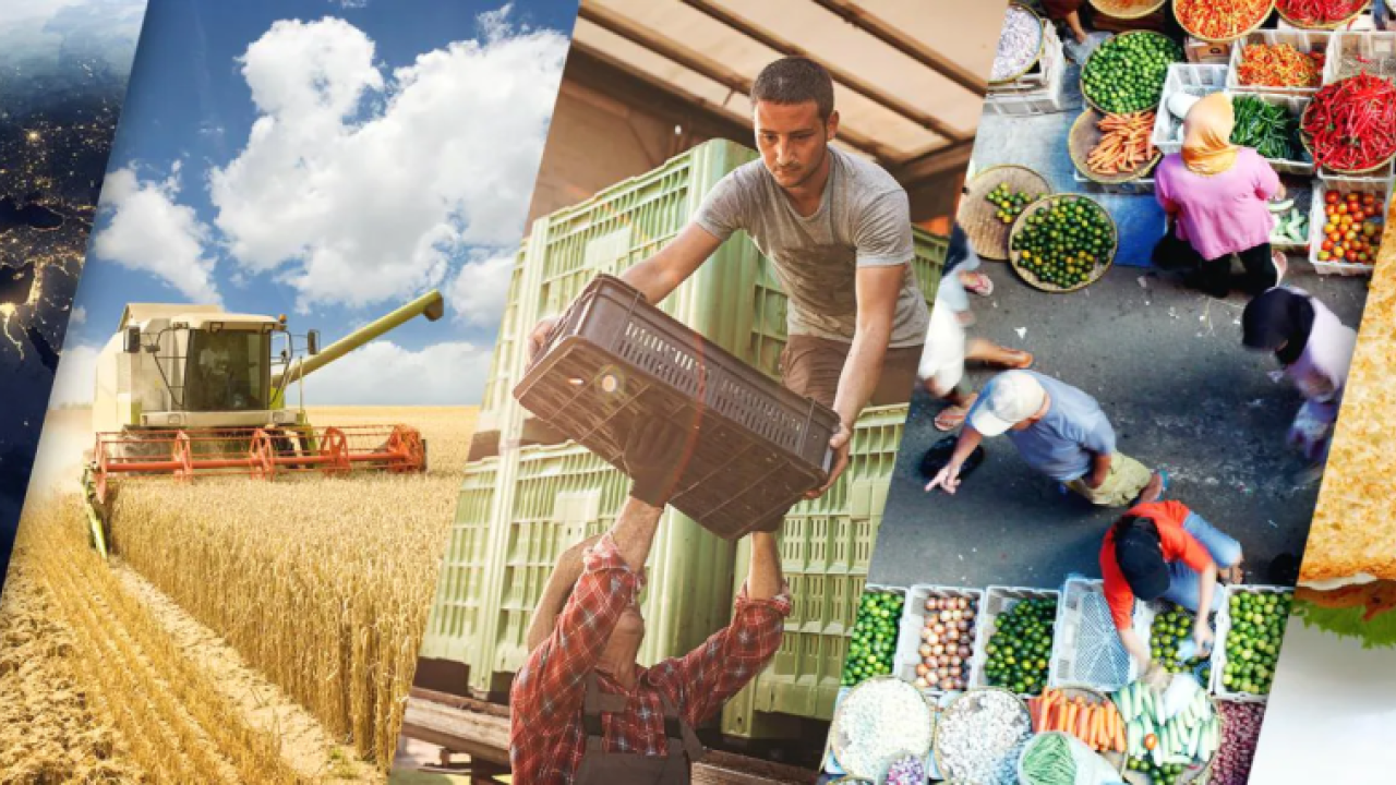 5 Images - Earth, wheat farming vehicle, farmers with shipping crates, a market, a sandwich on a plate