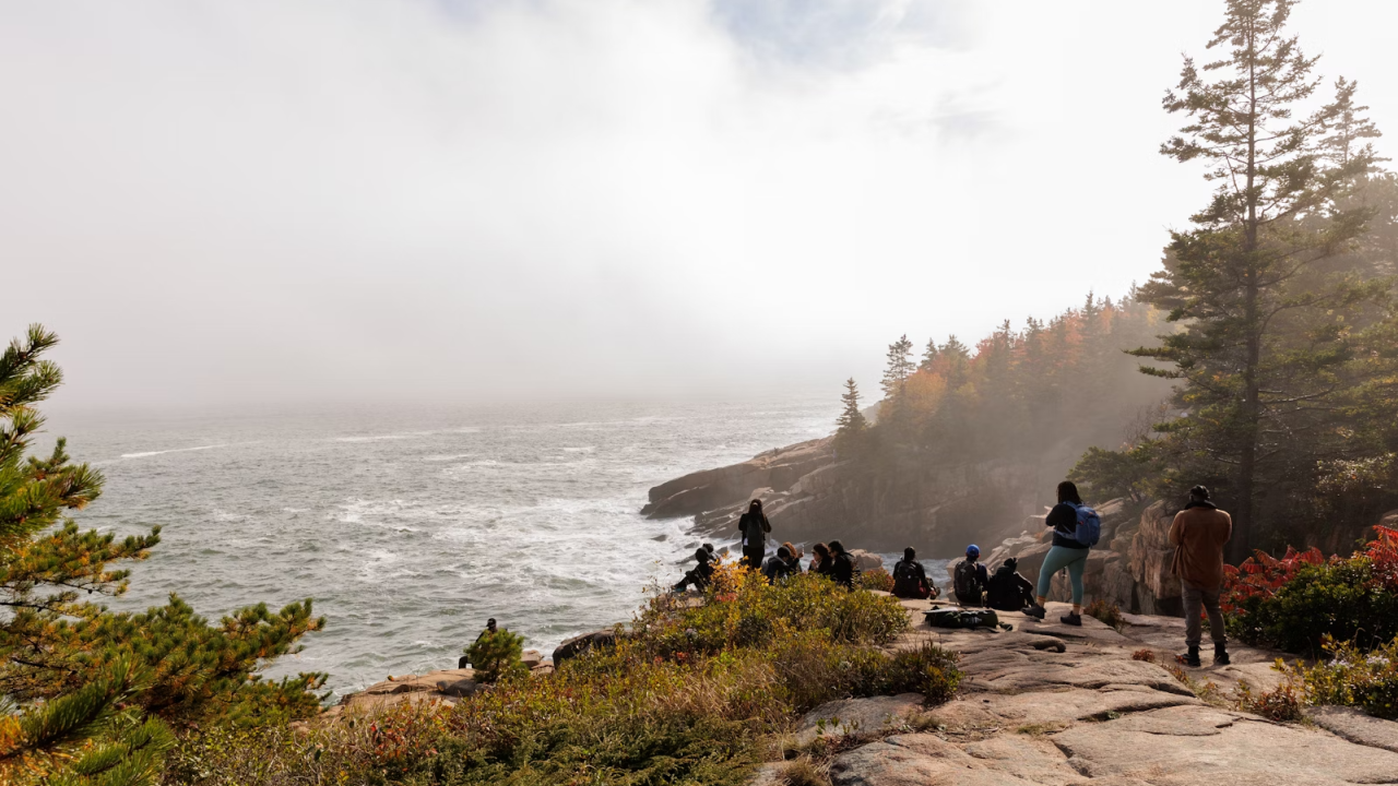 People standing and sitting on a rock next to water and trees