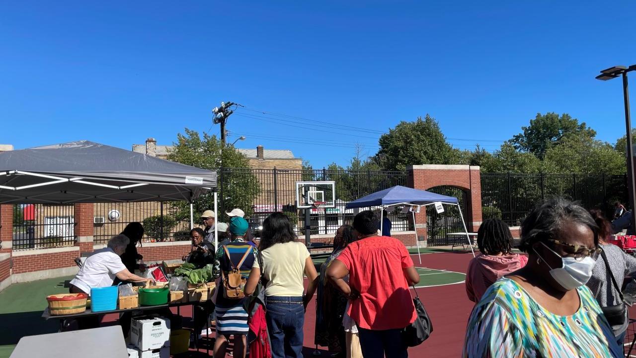 People shopping at a farmers market