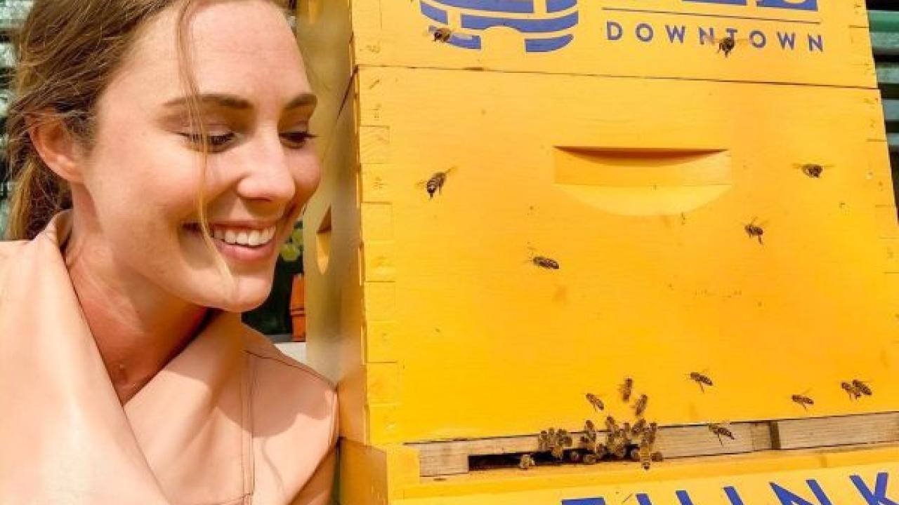 person next to a beehive